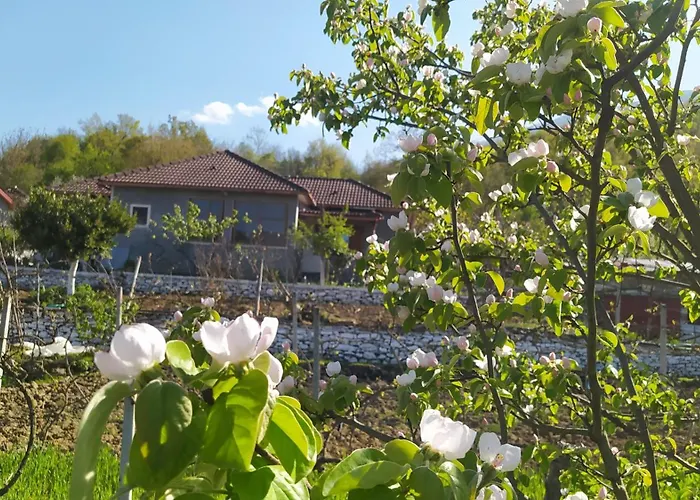 Spring Village Home