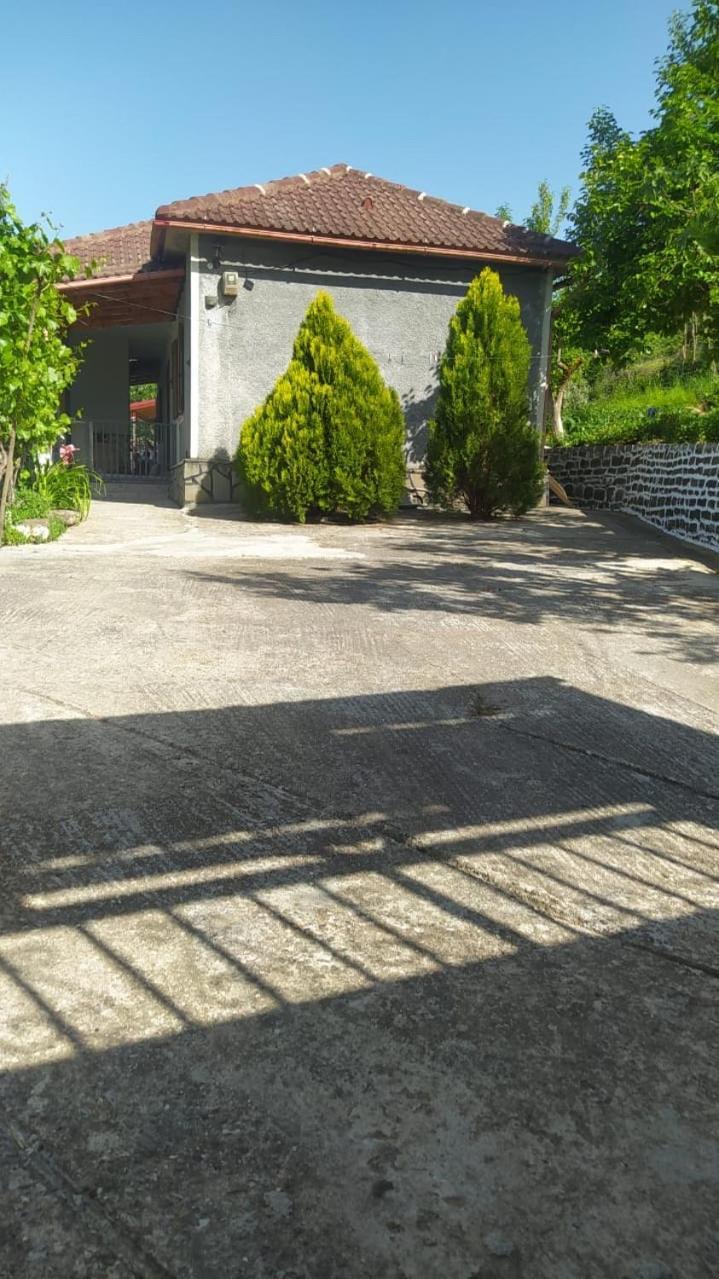 Spring Village *