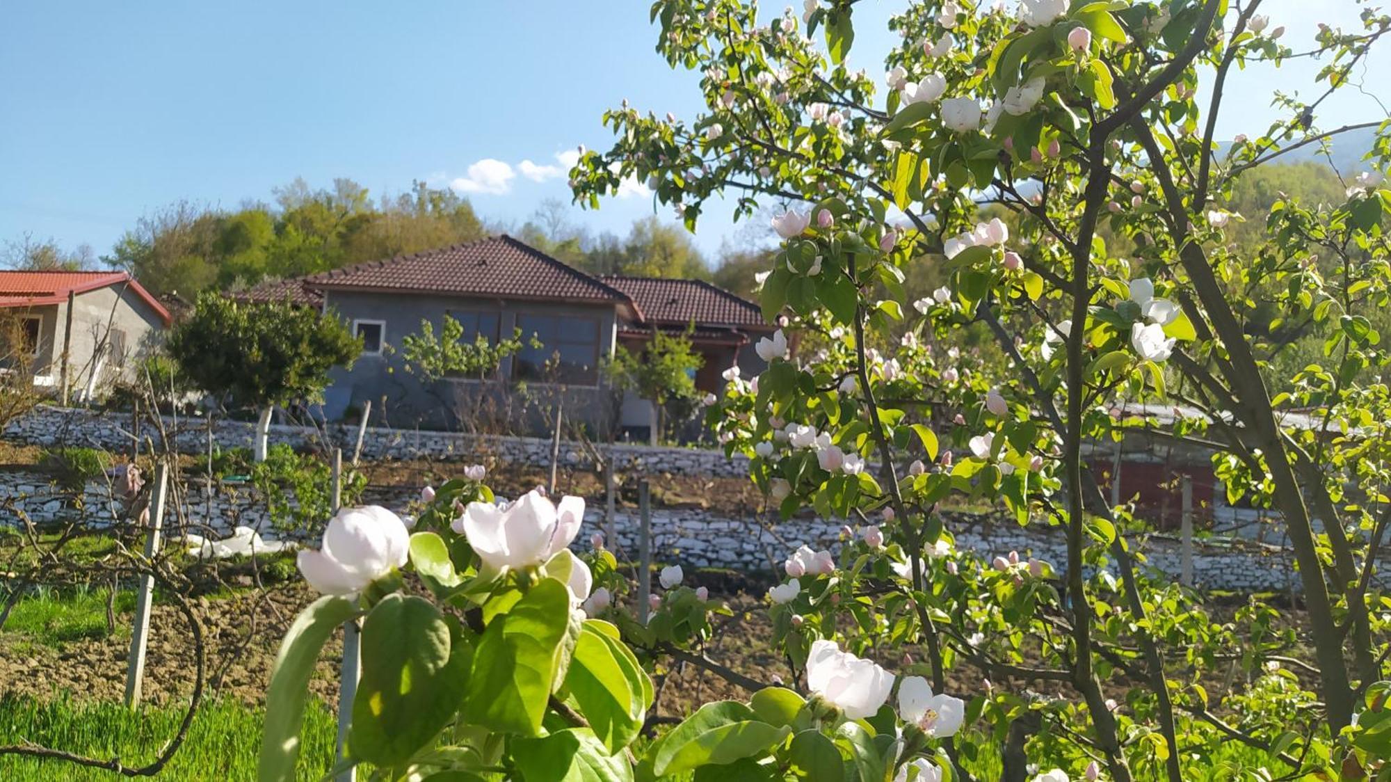 Spring Village * Përmet