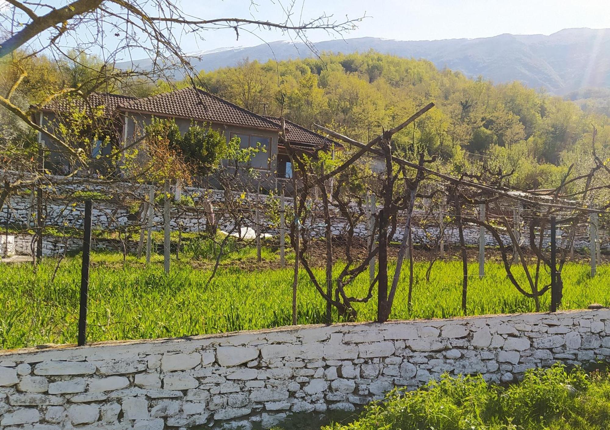 Appartamento Spring Village *